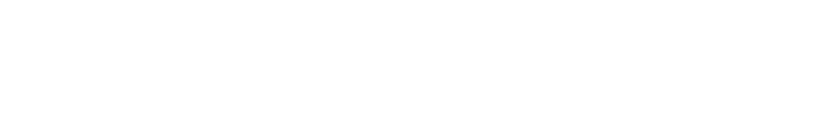 Capital Turbine Websites